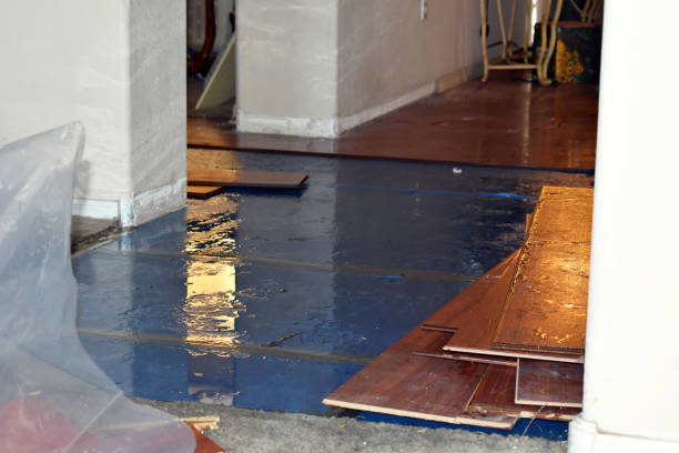 Professional Burst Pipe Cleanup technician working in Sanford, ME
